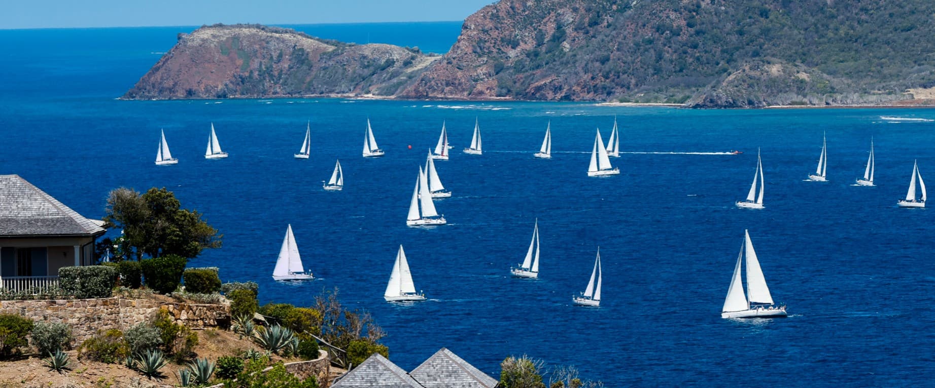 Antigua Sailing Week 2026: The Spectator's Complete Guide