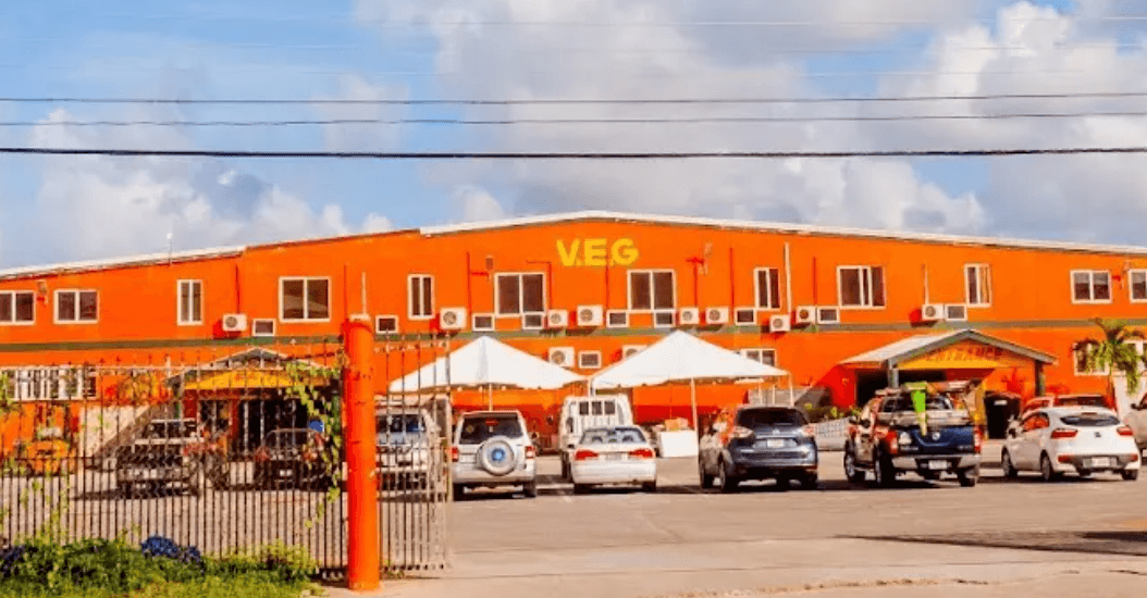 VEG International Antigua: Tiles, Flooring & Home Renovation Guide 2026