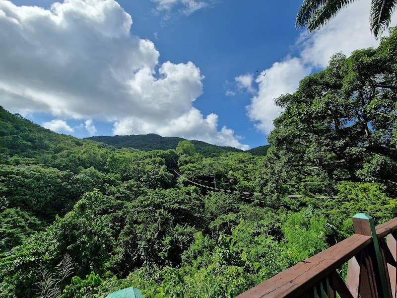 Antigua Rainforest Canopy Tour