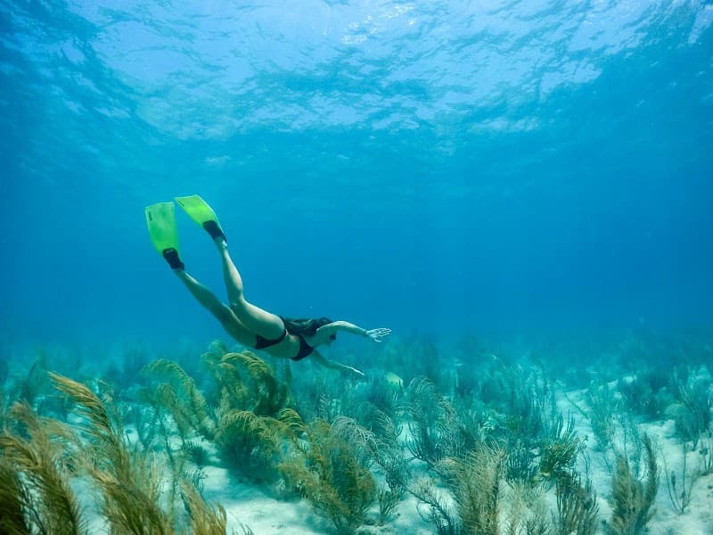 Barefoot Antigua - Private Boat Tours