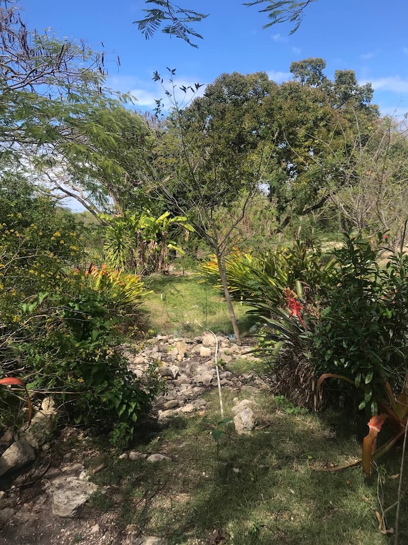 Barnes Hill Reservoir