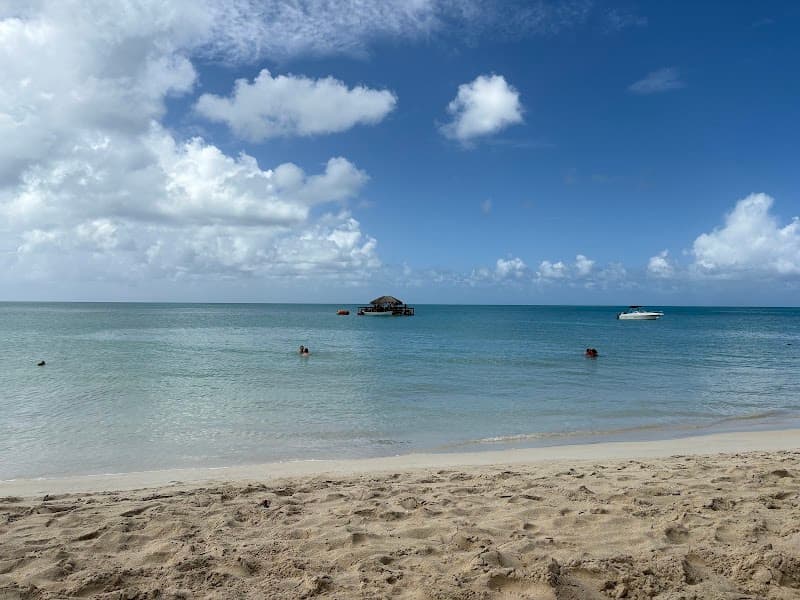 Best Beach Bar