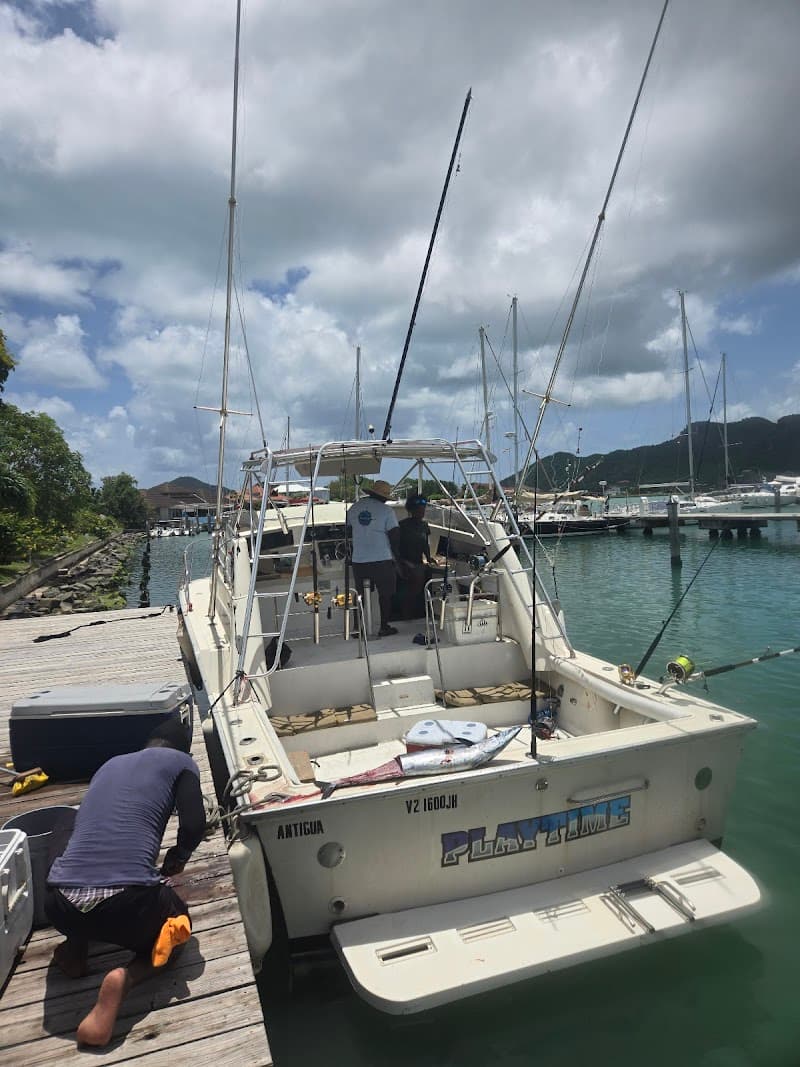 Blackfin Sports Fishing and Tours