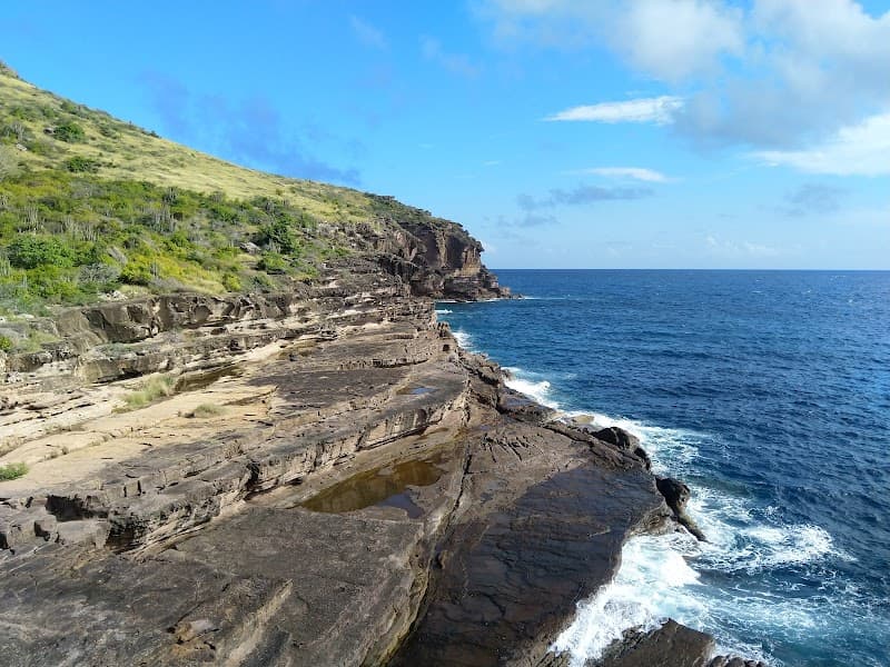 Carpenter Rock Trail
