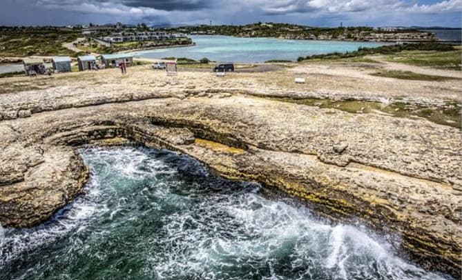 Uncle Ted's Island Adventures & Tours