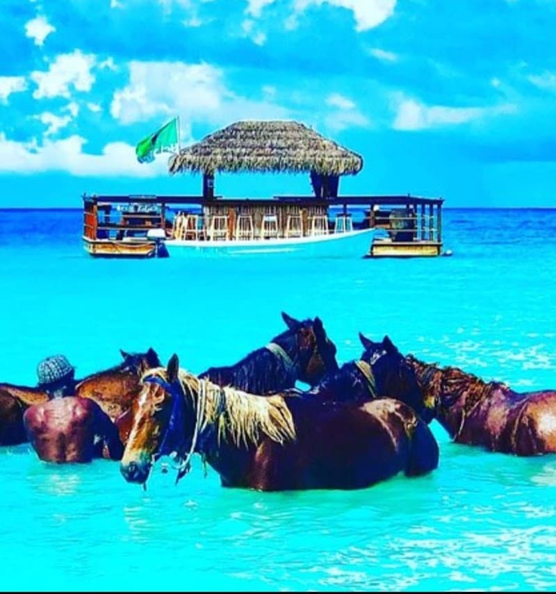 D&A TOURS ANTIGUA