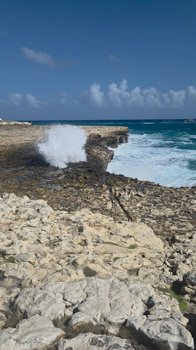 Exquisite Taxi and Tours Antigua