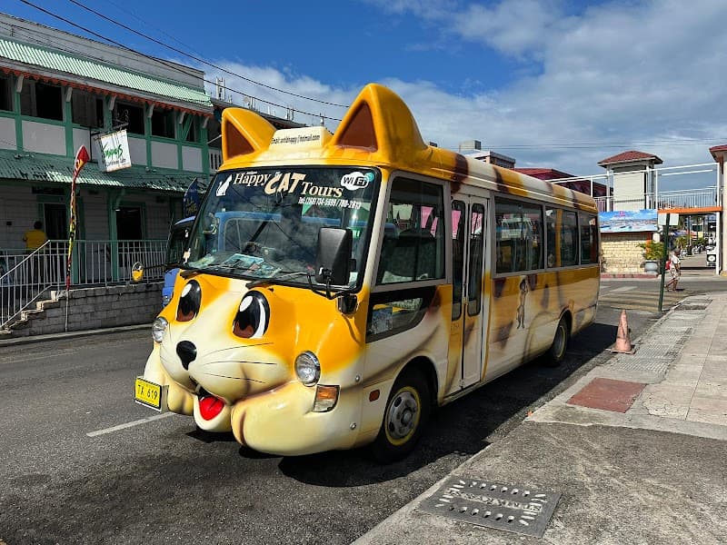 Happy Cat Tours