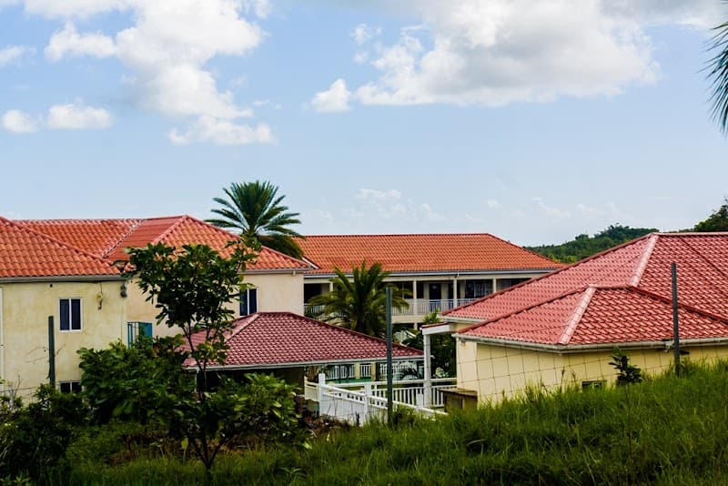 Island Academy International