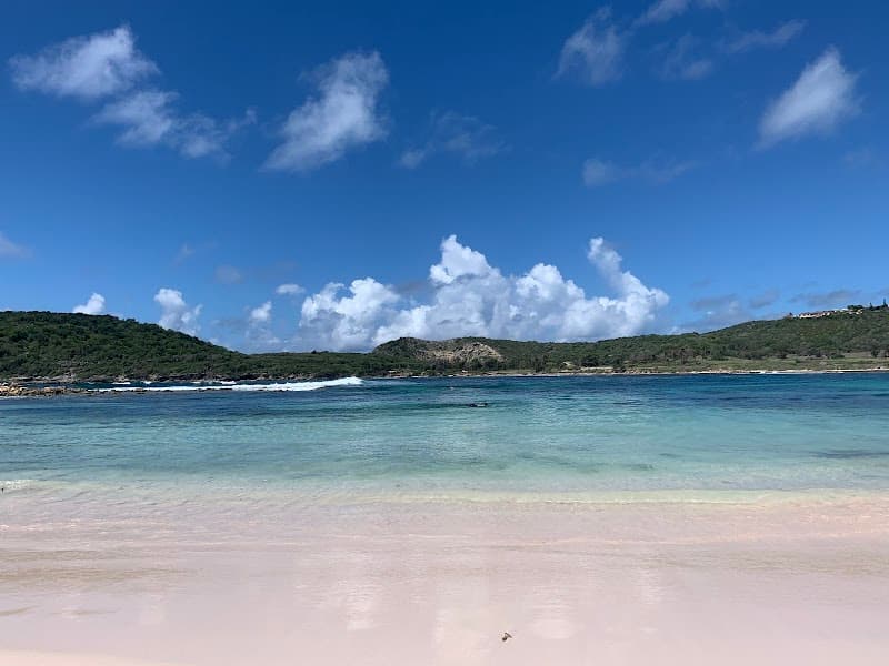 Proper Snapper Beach Chair Rental
