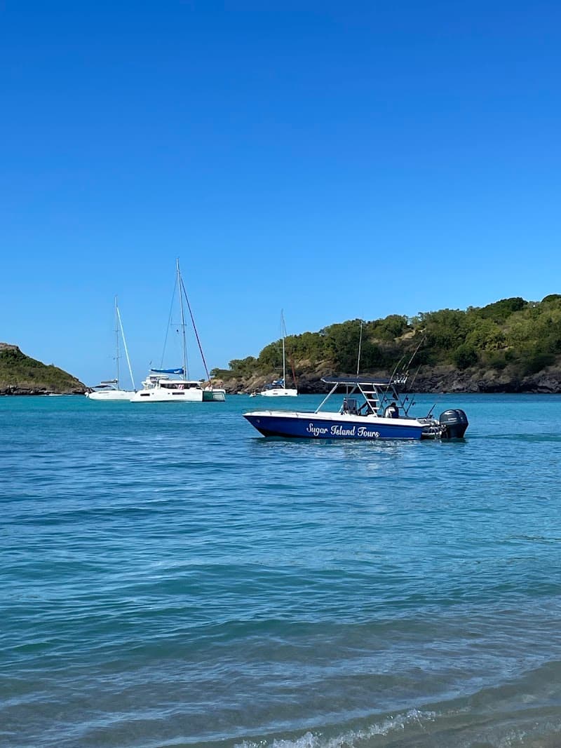 Sugar Island Tours