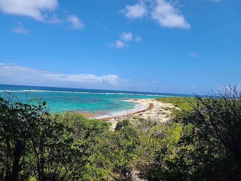 Sun Paradise Tours