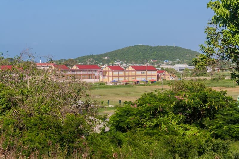 The Sir Novelle Richards Academy of Science