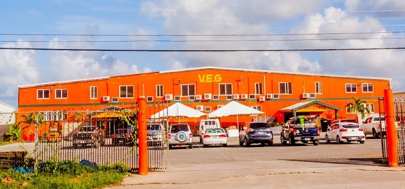 VEG International