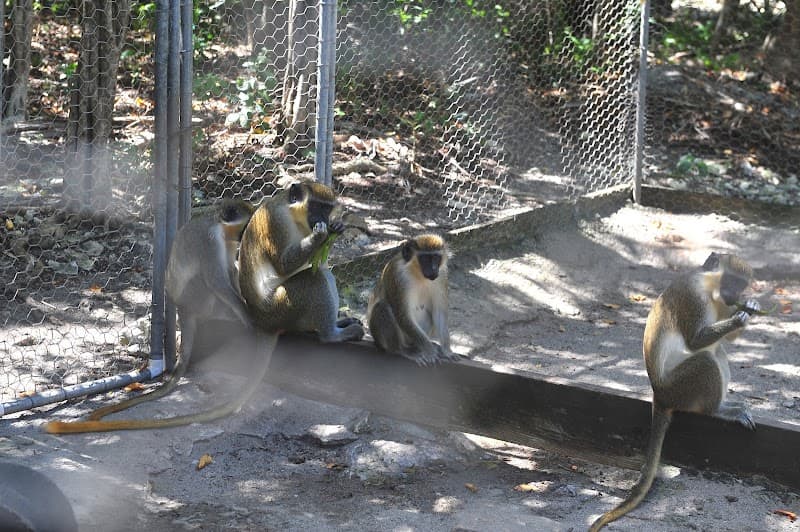 Wadadli Animal Nature Park